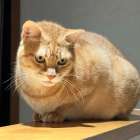 今季最大の寒波がやってくる!?寒さにもマケズ、牛尾立正園はお客様の元へ伺います。