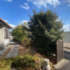 【伐採・剪定】ボサボサ重たいイメージのあった木をスッキリ