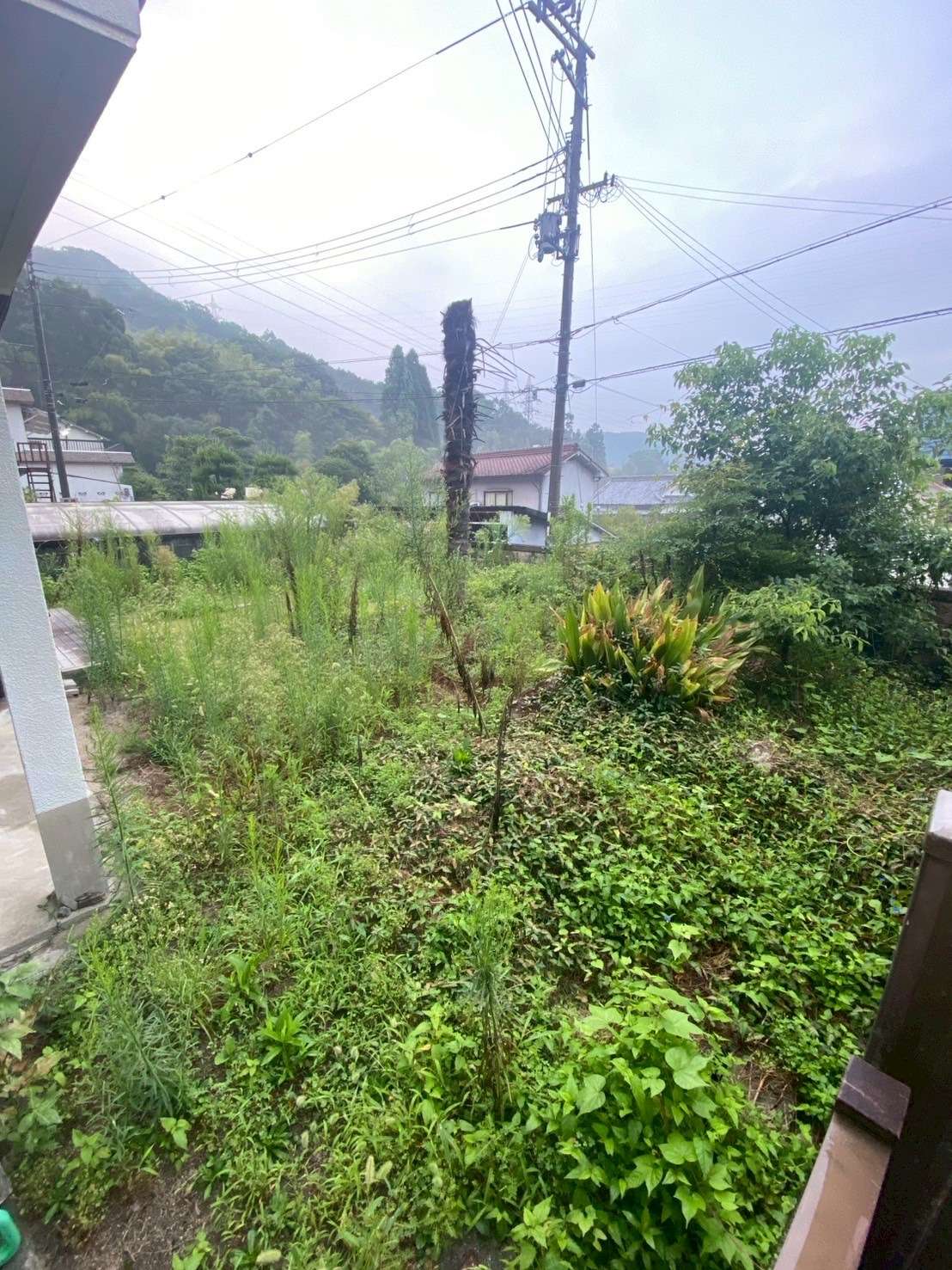 【お庭・伐採】もうお手上げ!仕事が忙しく放置するしかなかったお庭がメンテナンスフリーなお庭に変貌