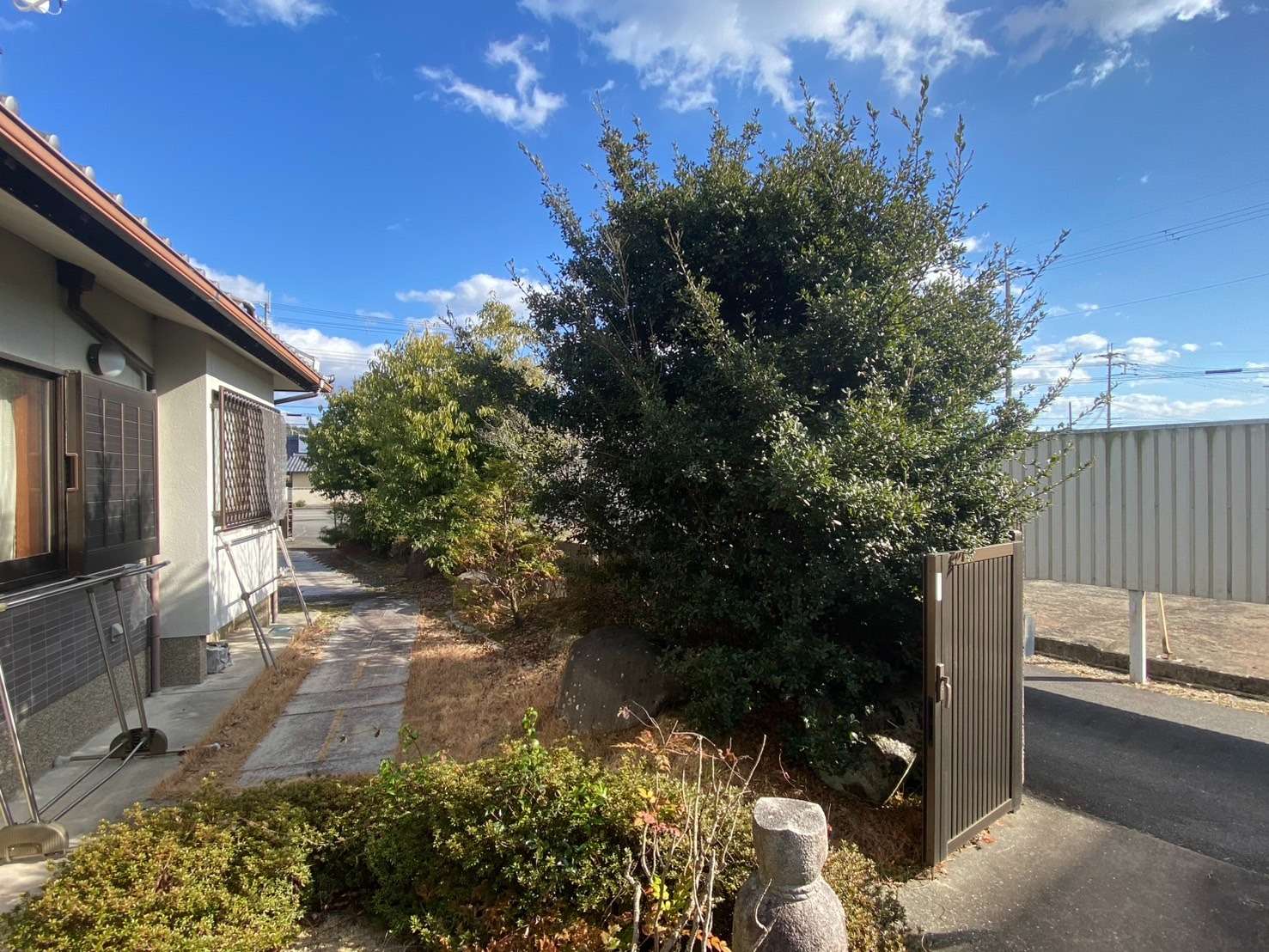 【伐採・剪定】ボサボサ重たいイメージのあった木をスッキリ