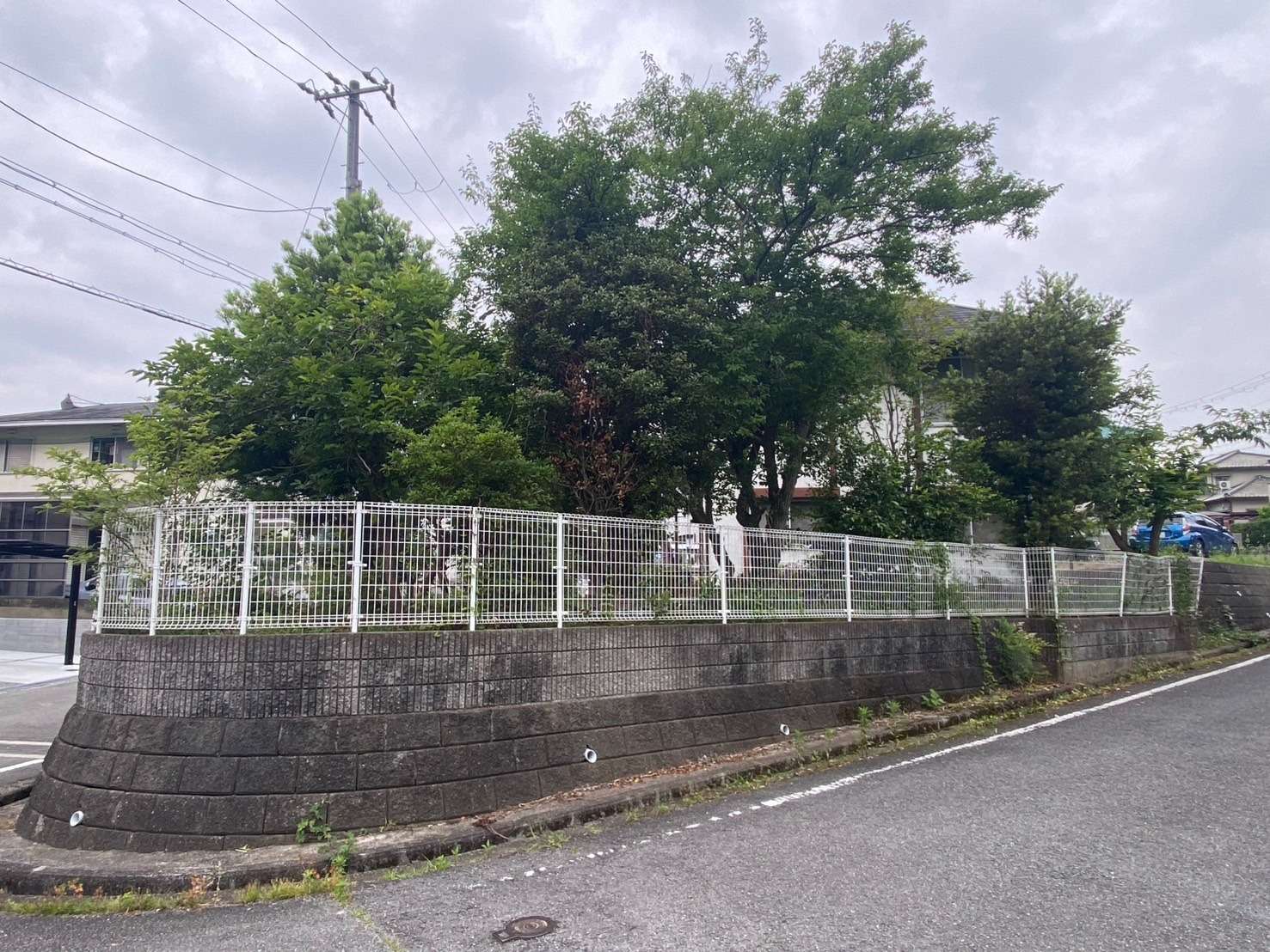 【剪定・伐採】目隠しの為に植えた木、でも今となっては手間ばかり…そのお悩みを解決!